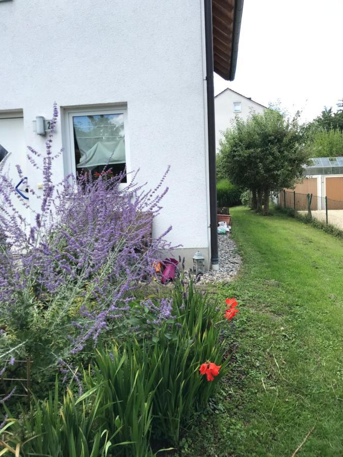 House With Castle View & Art Daire Günzburg Dış mekan fotoğraf
